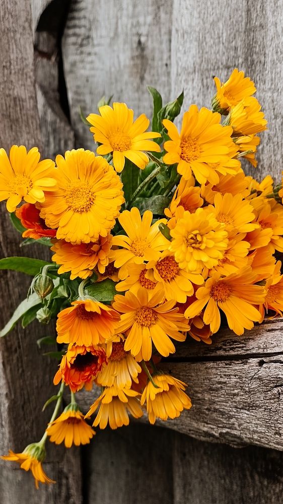 Последние ноготки