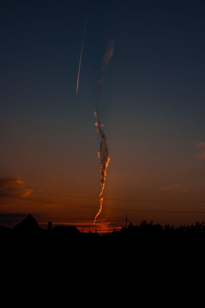 Фотография автора Софья Алексеева