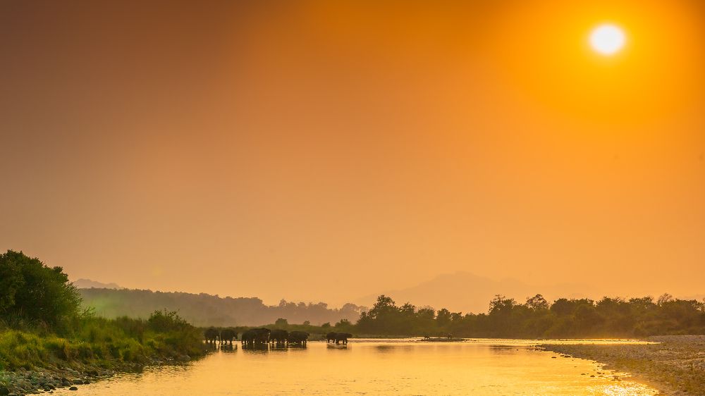 Photograph by Ayan Bhattacharya