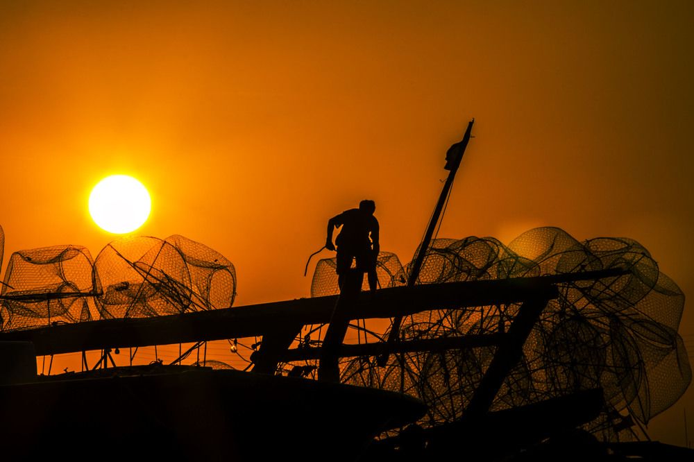 Photograph by Esmaeil Javidfar