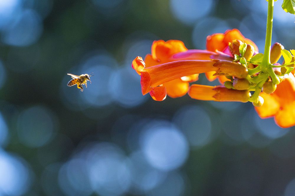 Photograph by Аверина Елена