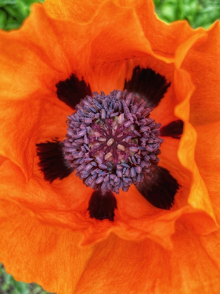 Фотография автора Екатерина Устинкина