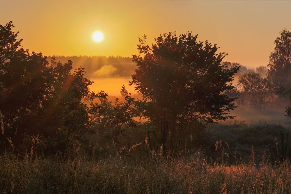 Photograph by Светлана Долгих