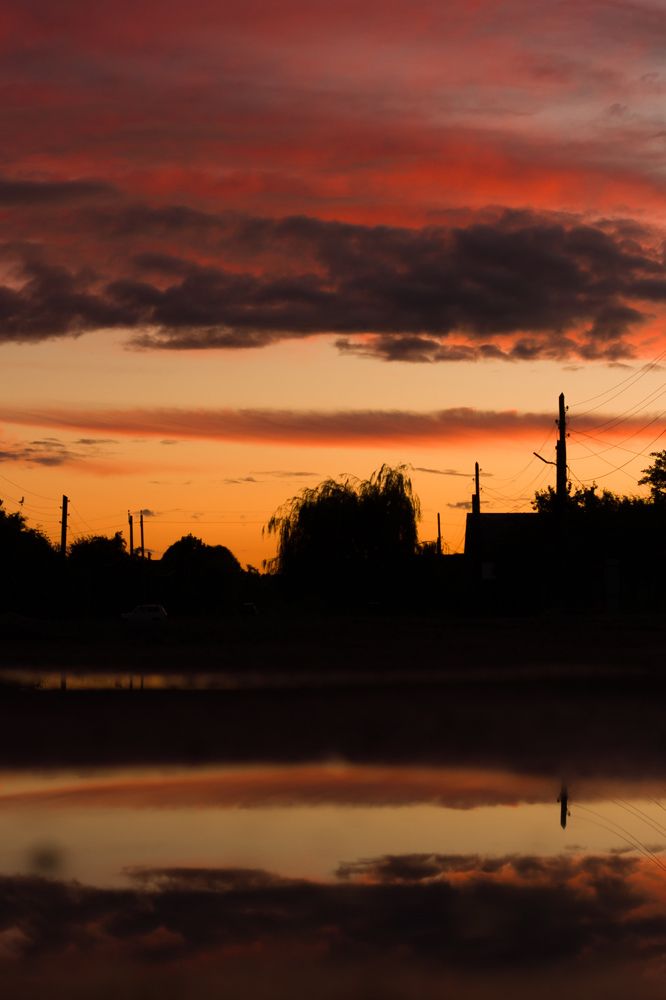 Фотография автора Софья Алексеева