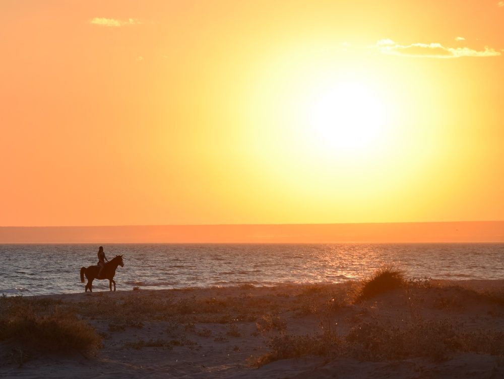 Photograph by Maiya Bulatova