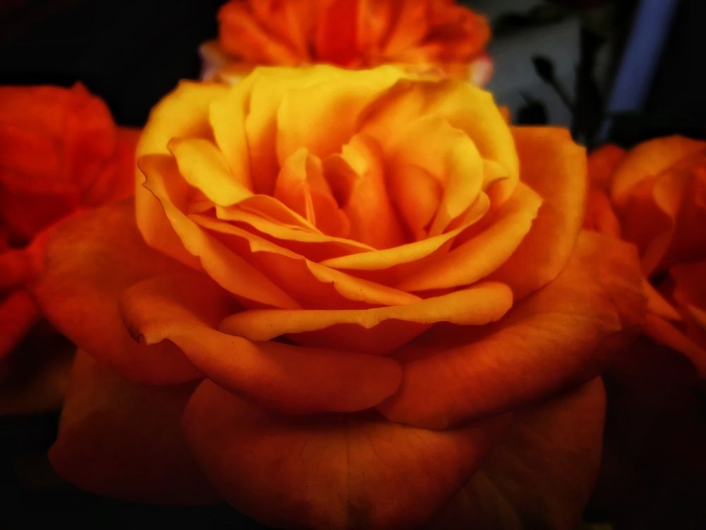 Photograph by Елена Артёменко