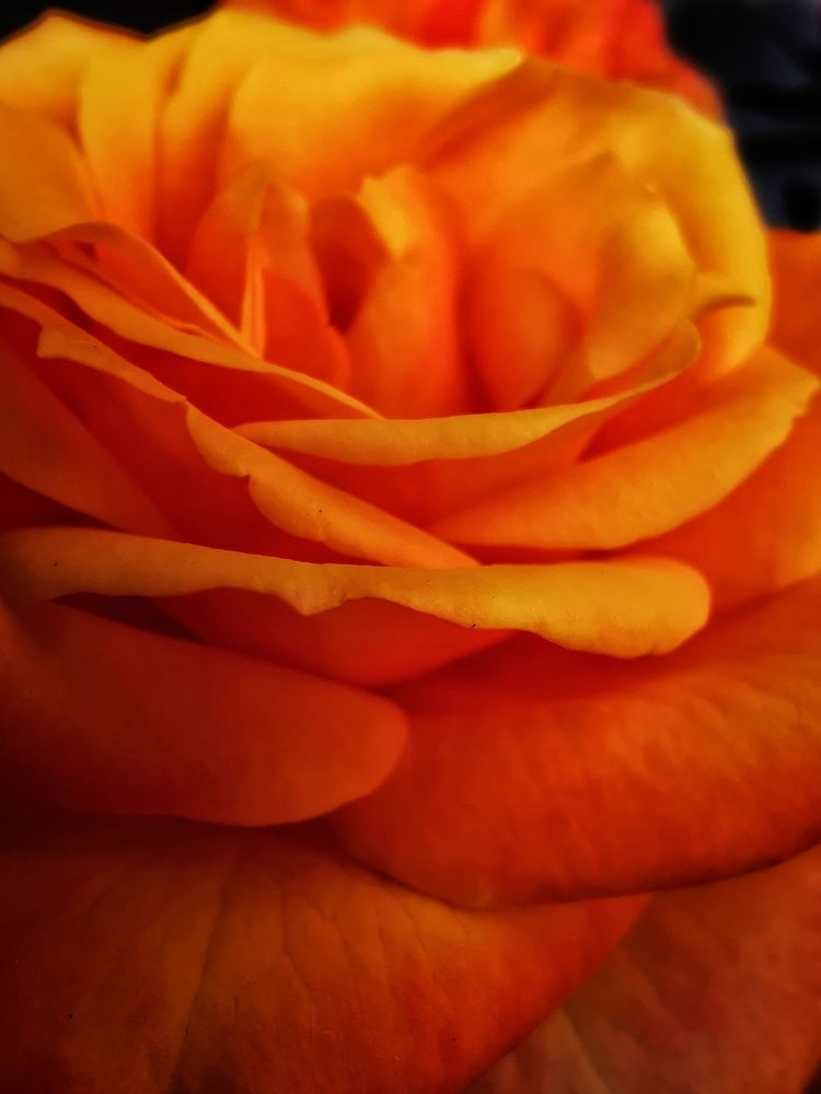 Photograph by Елена Артёменко