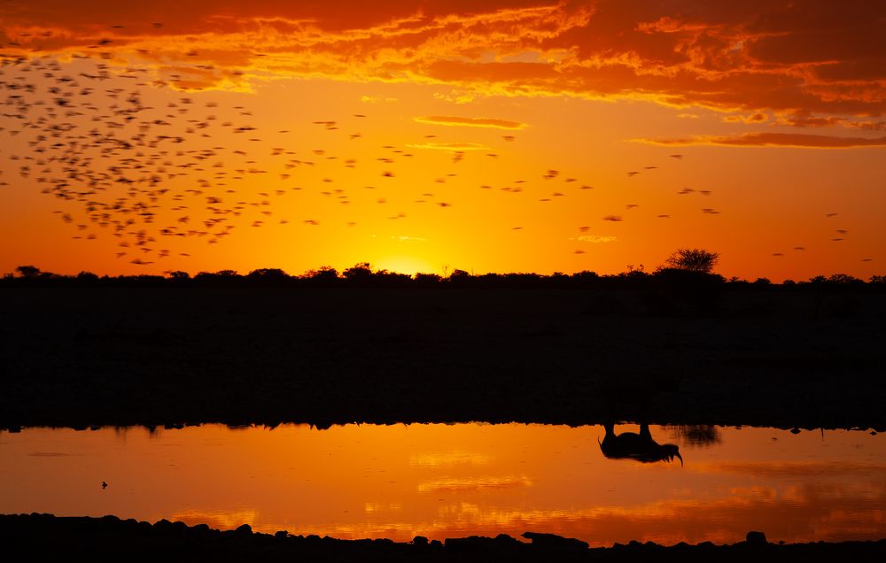 Photograph by Александр Ипполитов