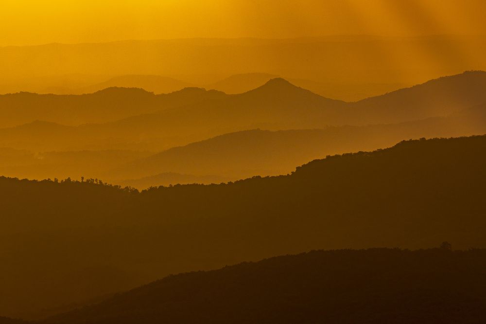 Photograph by Dhananjay Jadhav