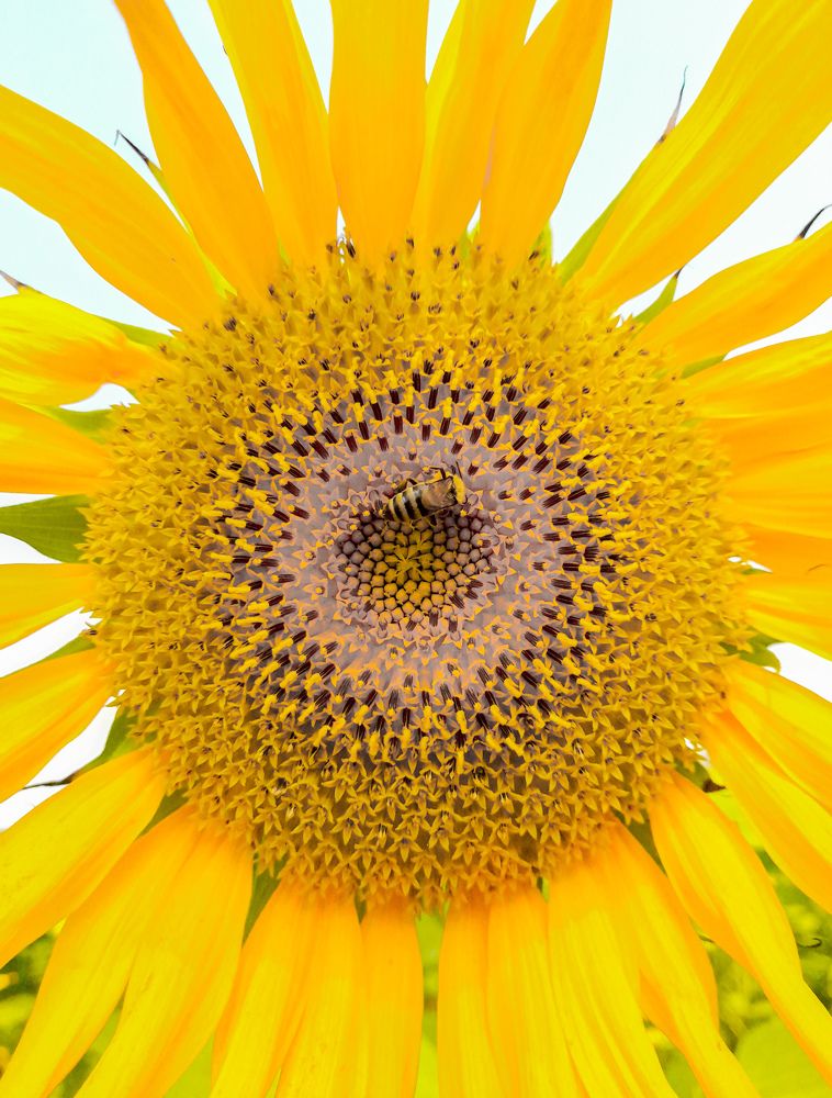 Photograph by hassan mohamed