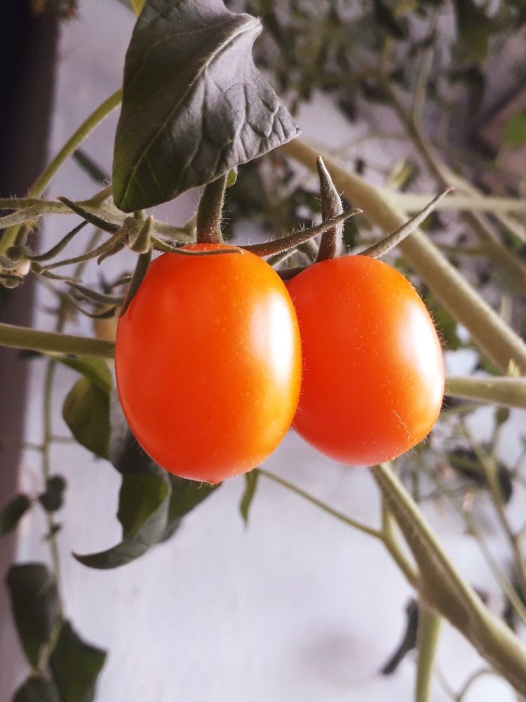 Photograph by Бутовец Алёна