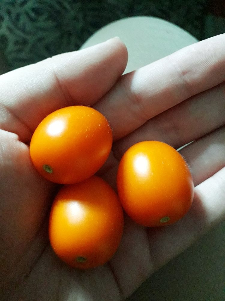 Photograph by Бутовец Алёна