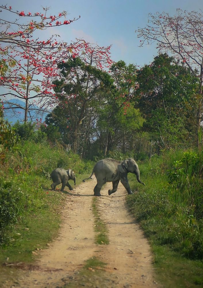 Photograph by Vishal N