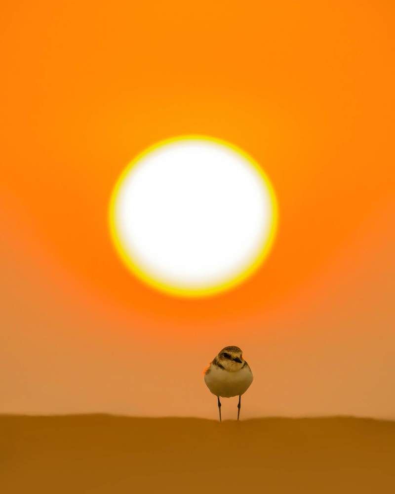 Photograph by Arun Prakash