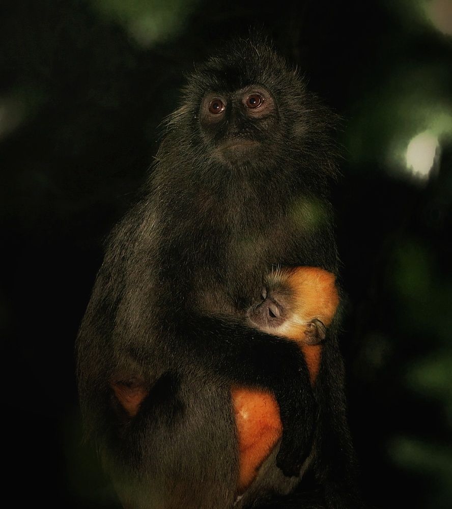 Photograph by Vishal N