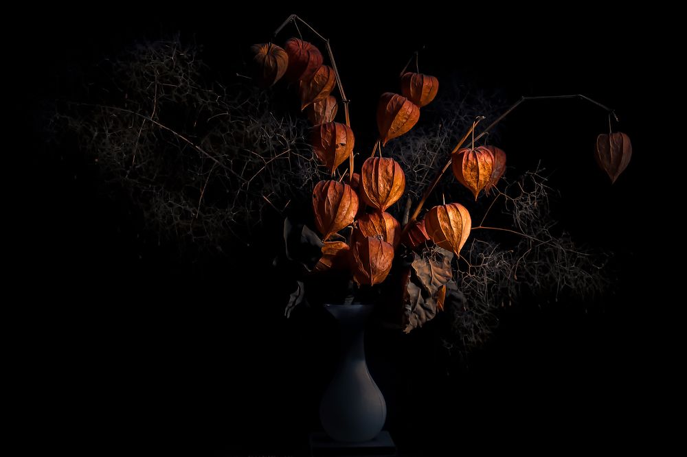 Оранжевые коробочки