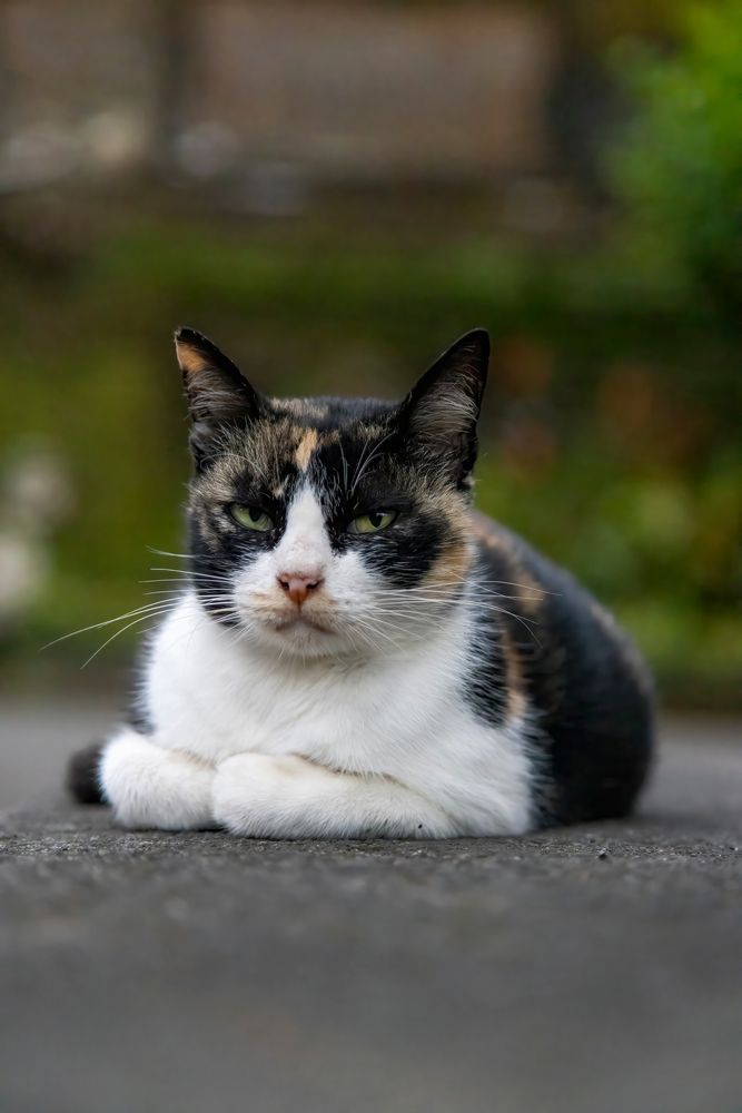 Photograph by Sekhar Kiran Krishanan