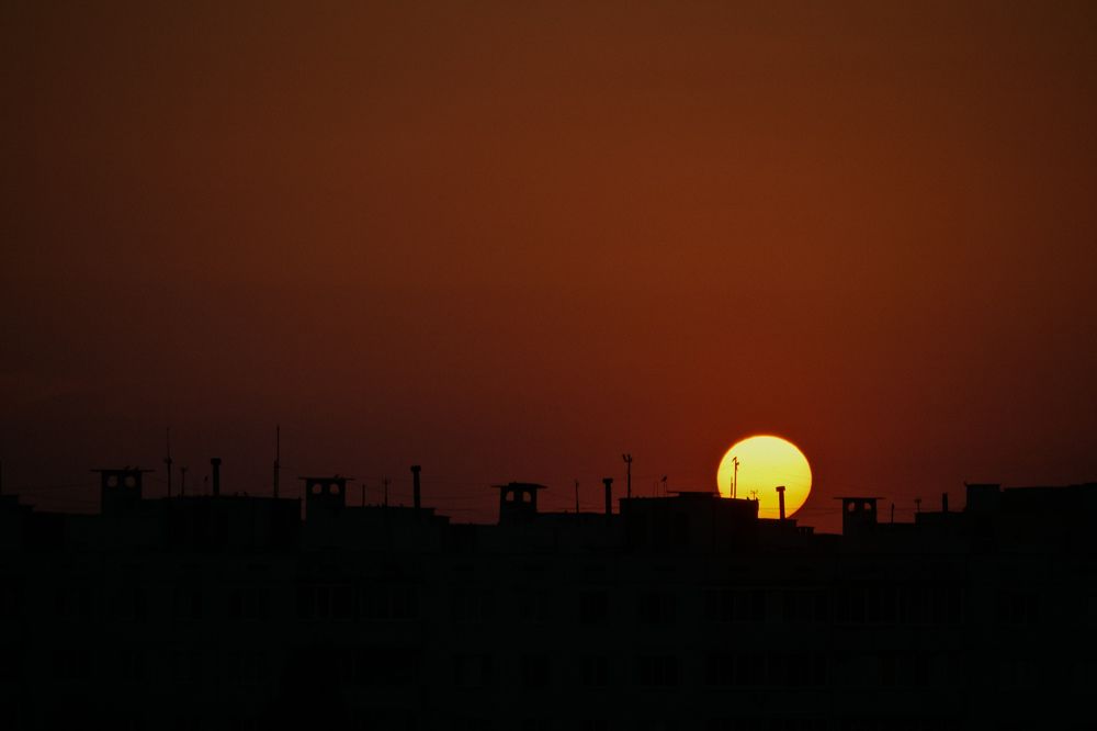 Фотография автора Екатерина Высоцкая