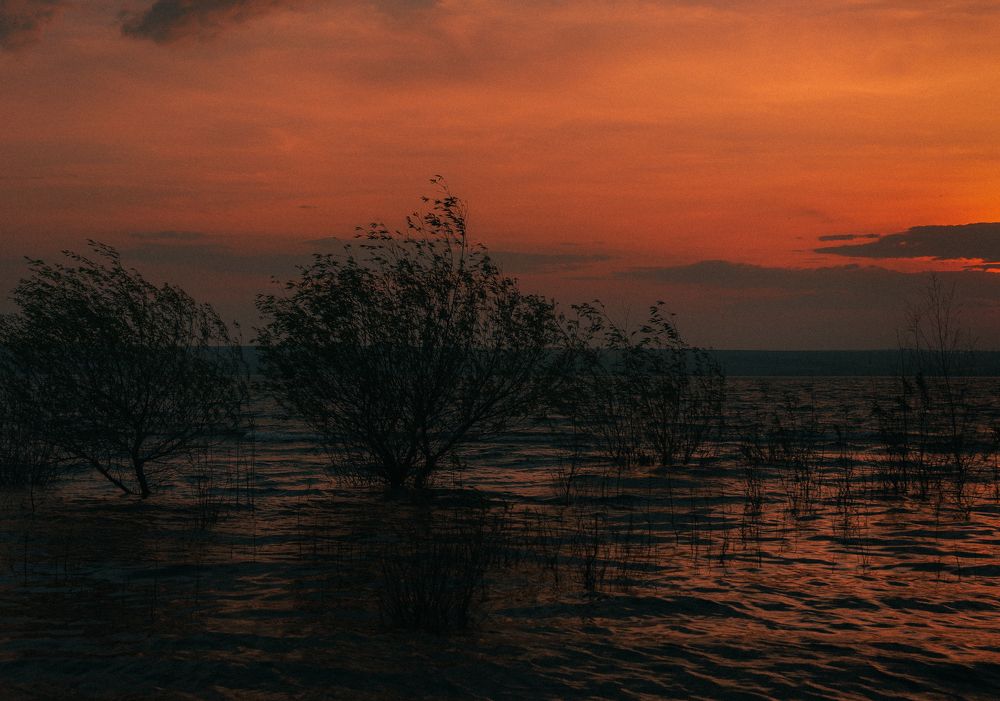 Фотография автора 