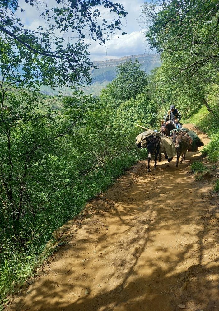 Photograph by Viktoria Vavilkina