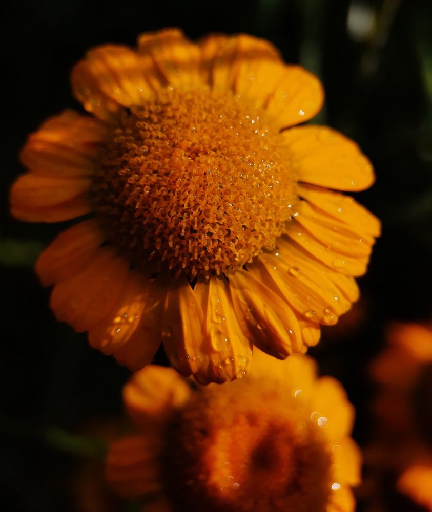 Фотография автора Ольга Кунакова