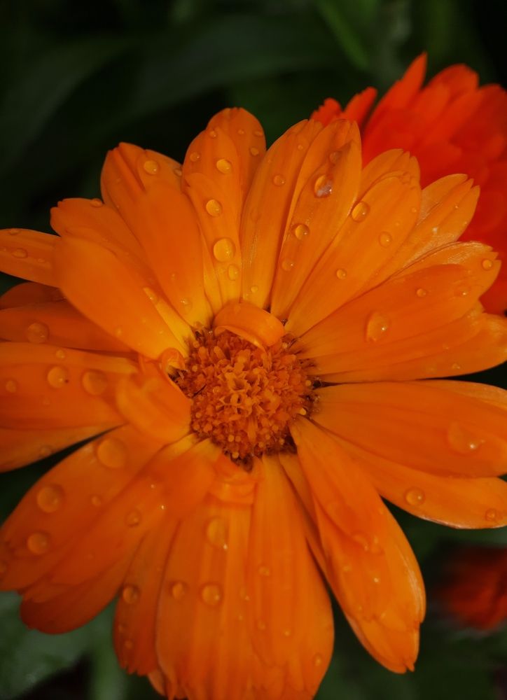 Фотография автора Ольга Кунакова