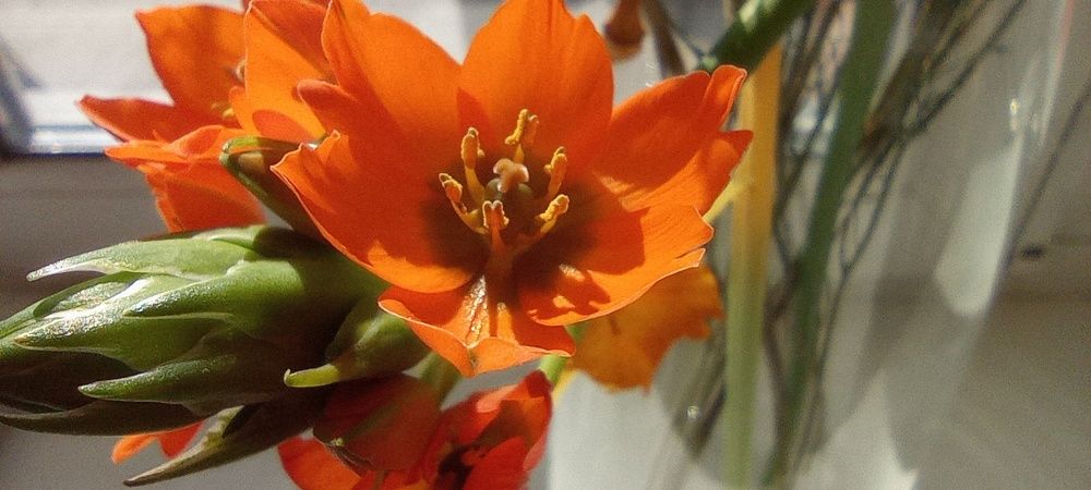 Photograph by Анастасия Кичигина