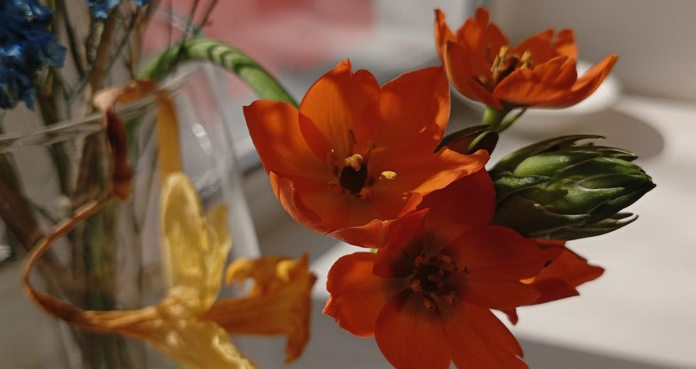 Photograph by Анастасия Кичигина