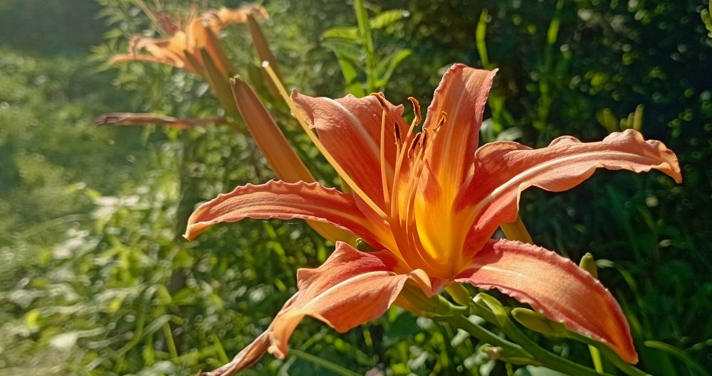 Photograph by Анастасия Кичигина