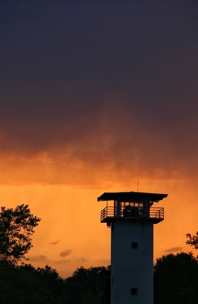 Photograph by Masoumeh Rahimi