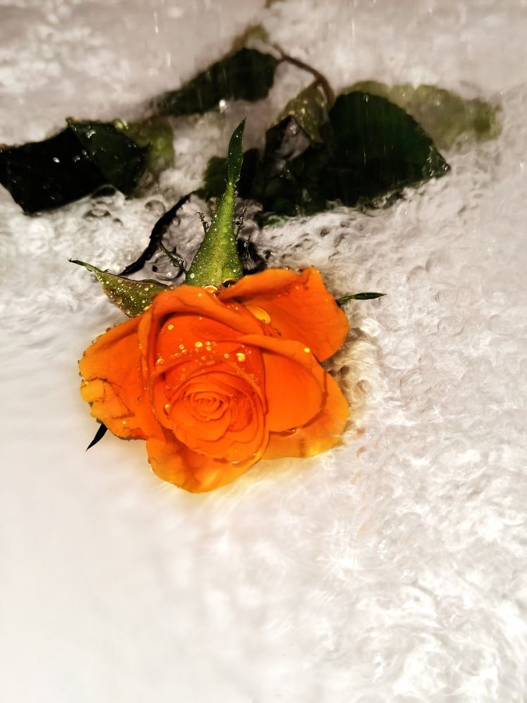 Photograph by Alen Brkić