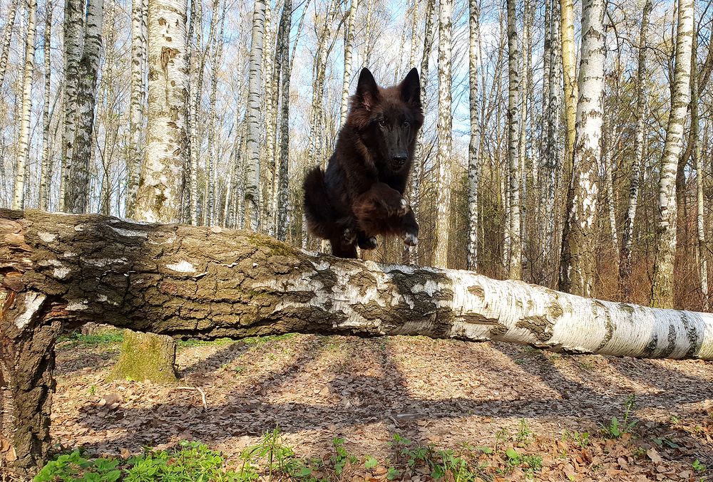 Фотография автора Надежда Лисицына