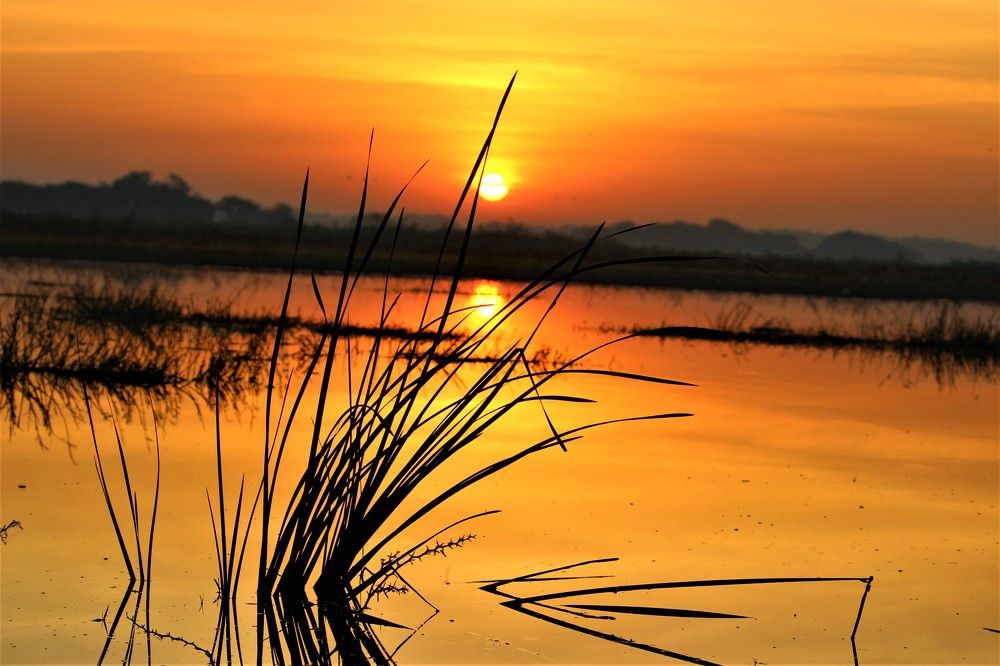 Photograph by Rajesh Sheth