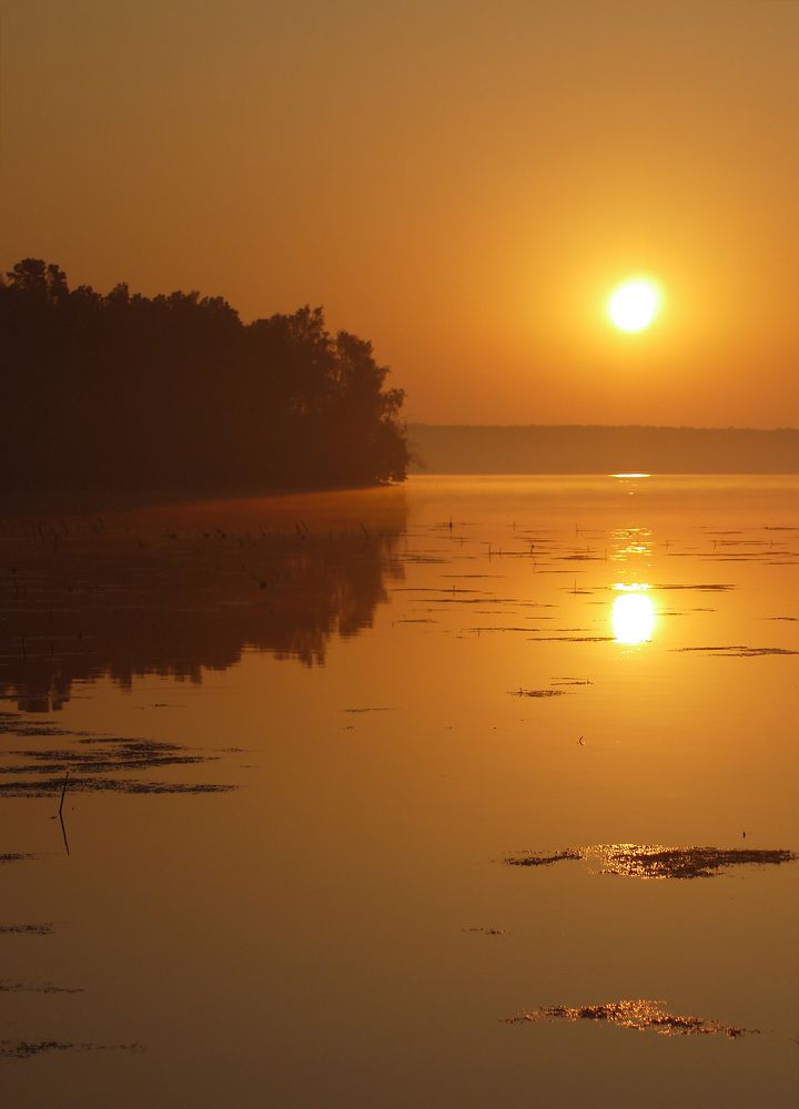 Photograph by Баженова Наталья