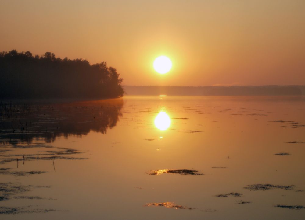 Photograph by Баженова Наталья