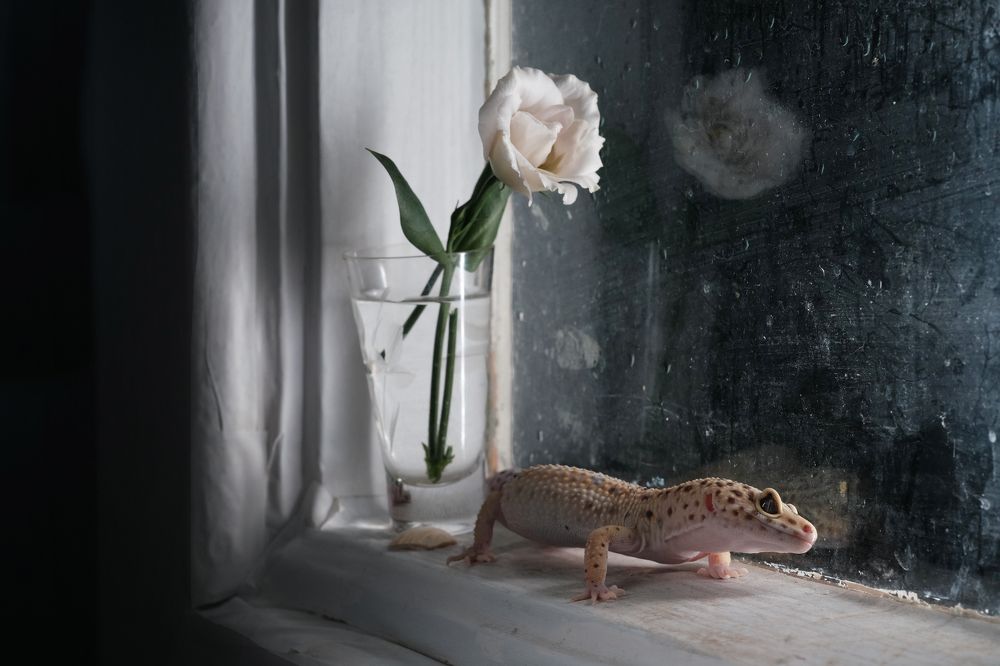 Photograph by Тим Мартынов