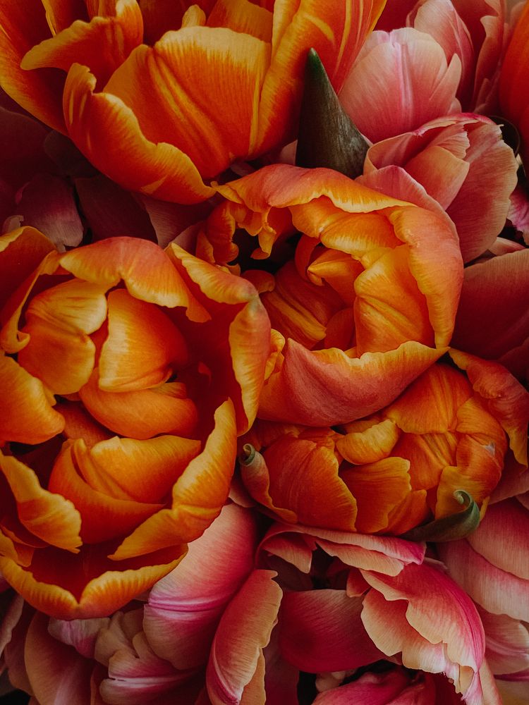 Photograph by Alena Vaganova