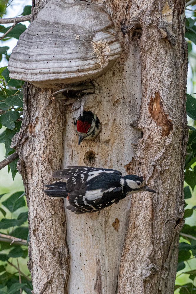 Photograph by Андрей Бородкин