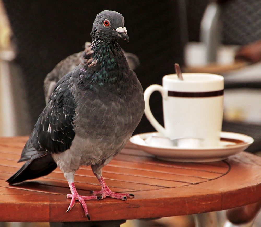 Фотография автора Александр