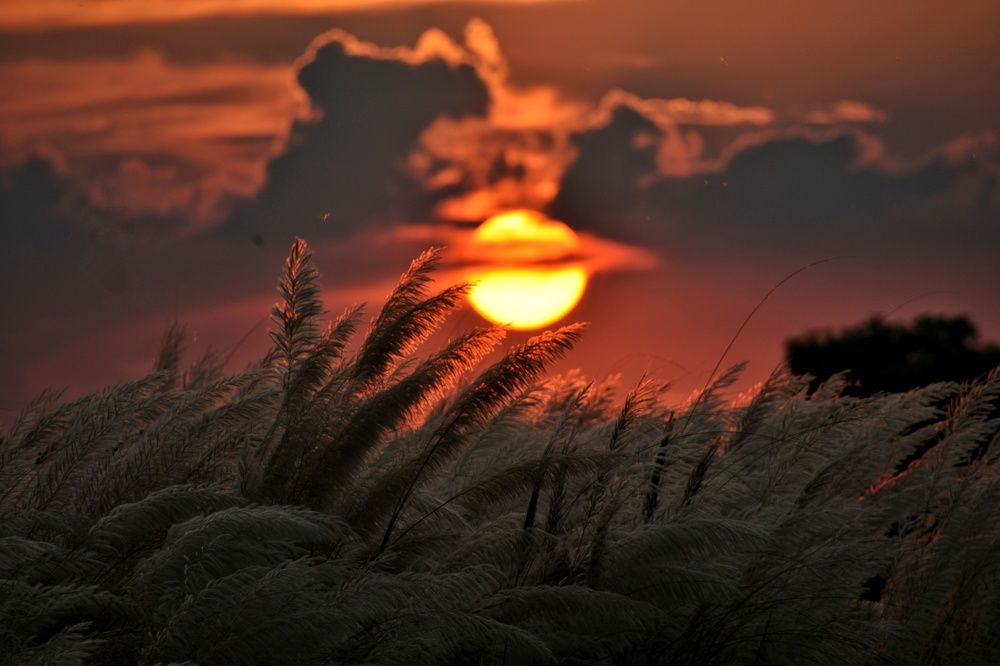 Photograph by Anirban Karmakar