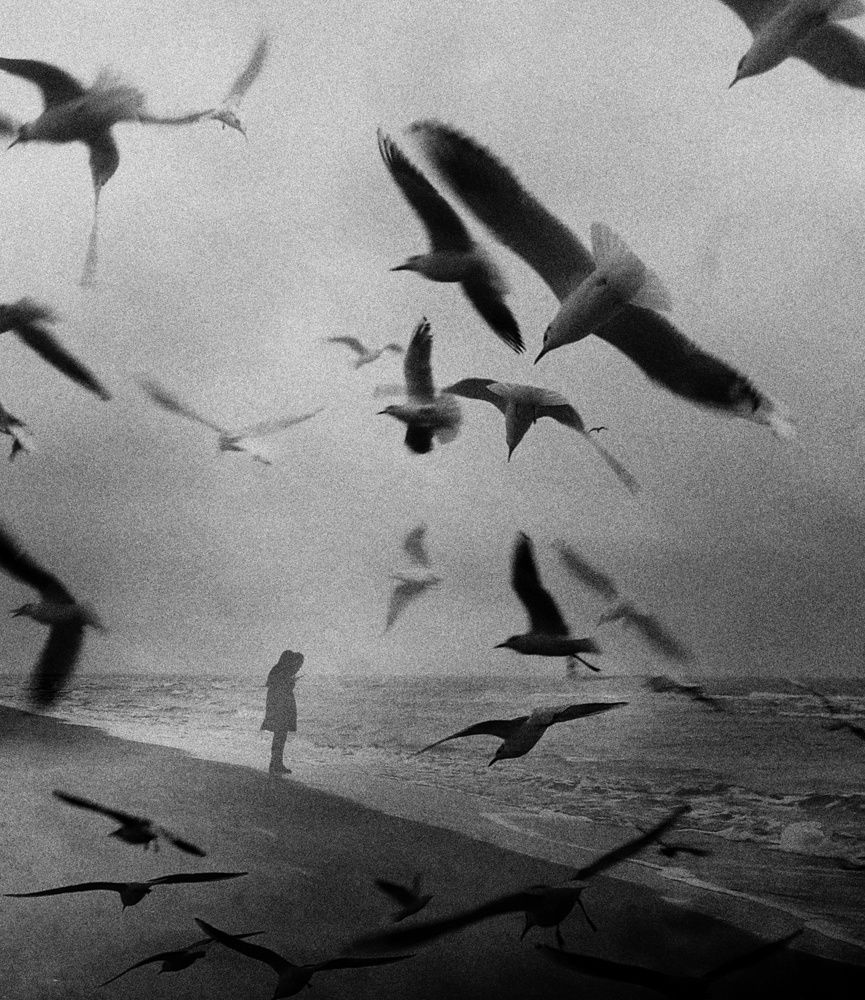 Photograph by Masoumeh Rahimi