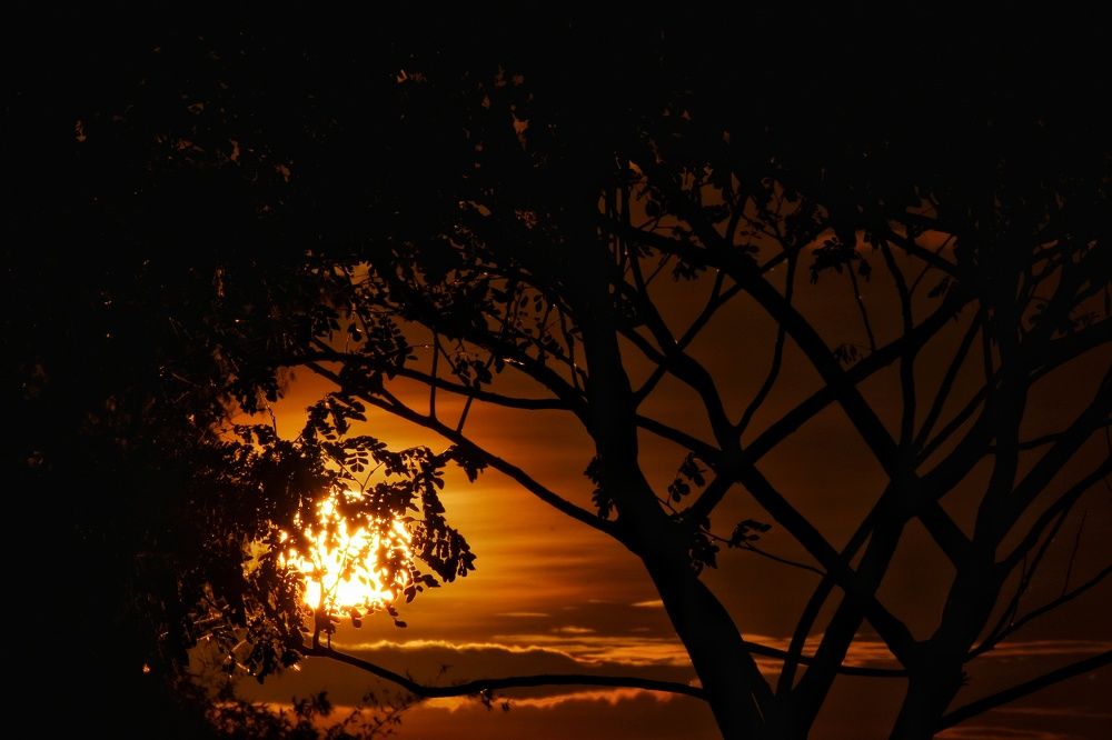 Photograph by Anirban Karmakar