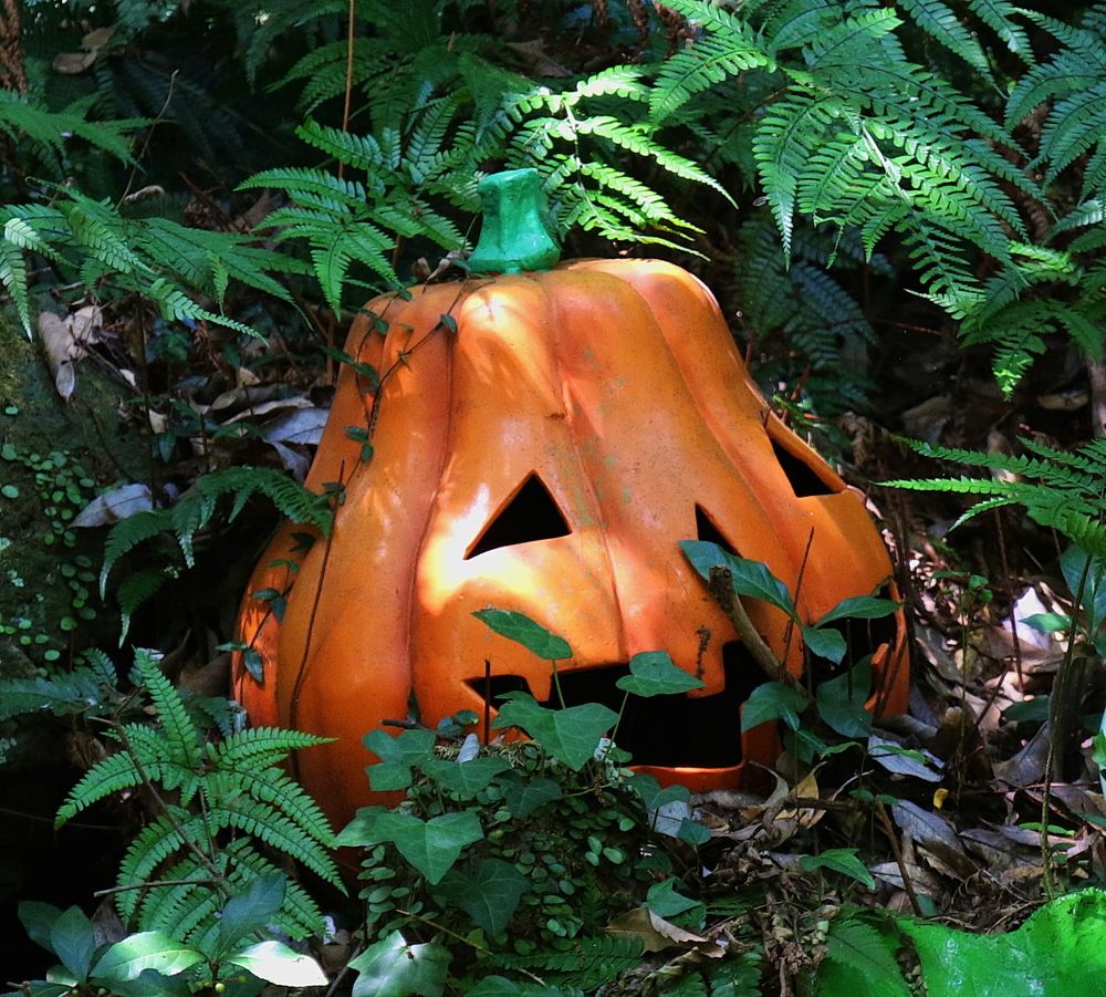 Фотография автора АЛЕКСАНДР ЦЫГЕЛЬНЮК