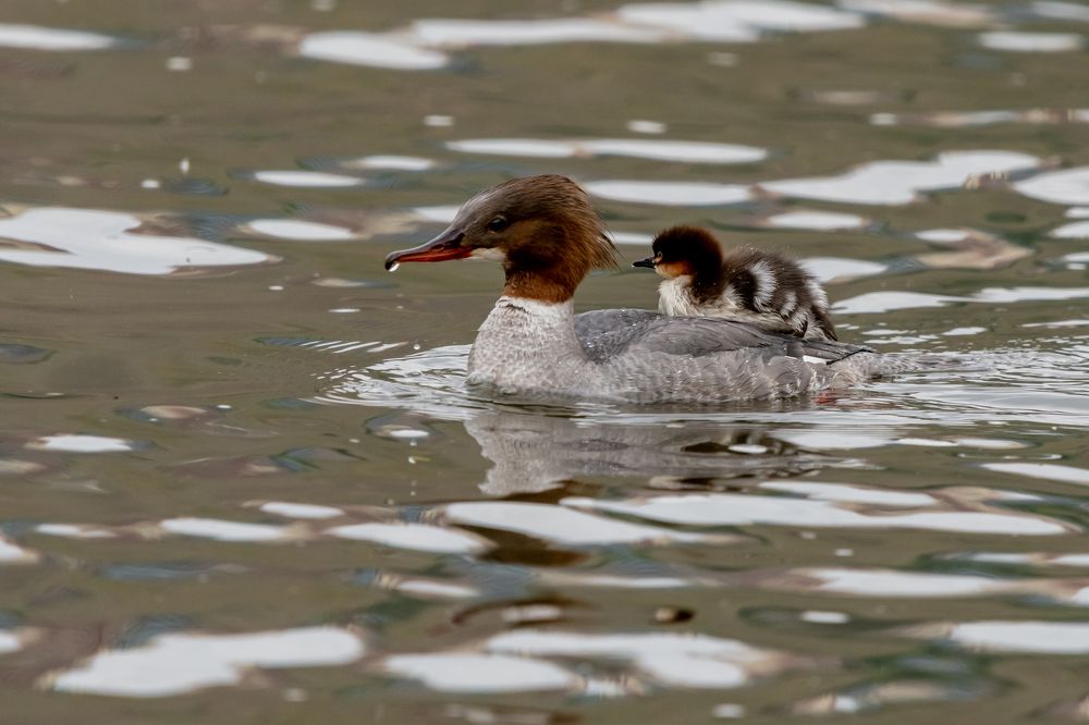 Photograph by Андрей Бородкин