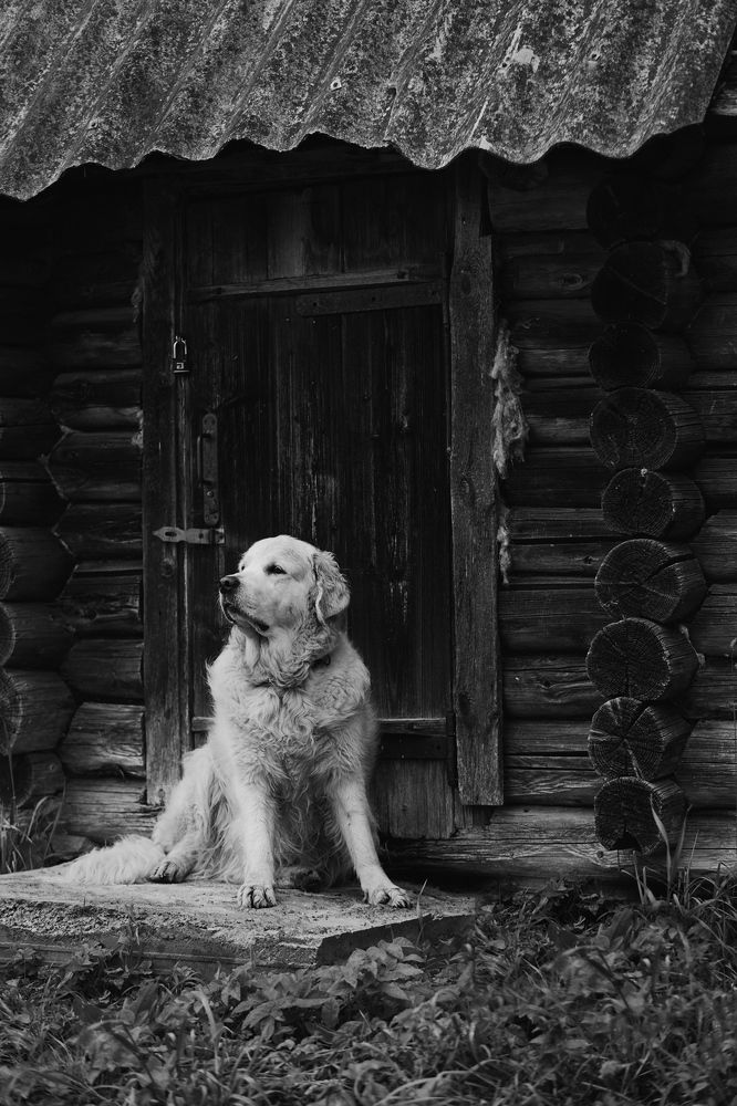 Photograph by Ольга Вороная