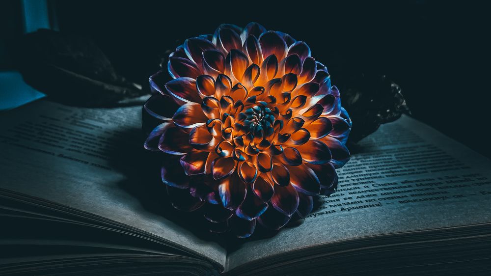 Photograph by Екатерина Мурсынина