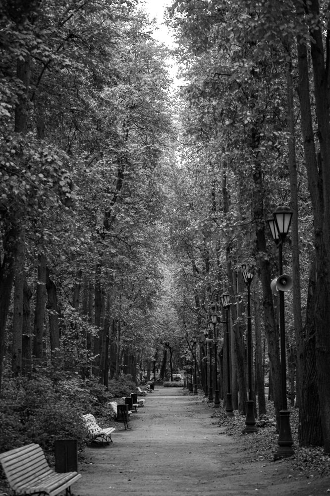 Photograph by Алексей Еремеев