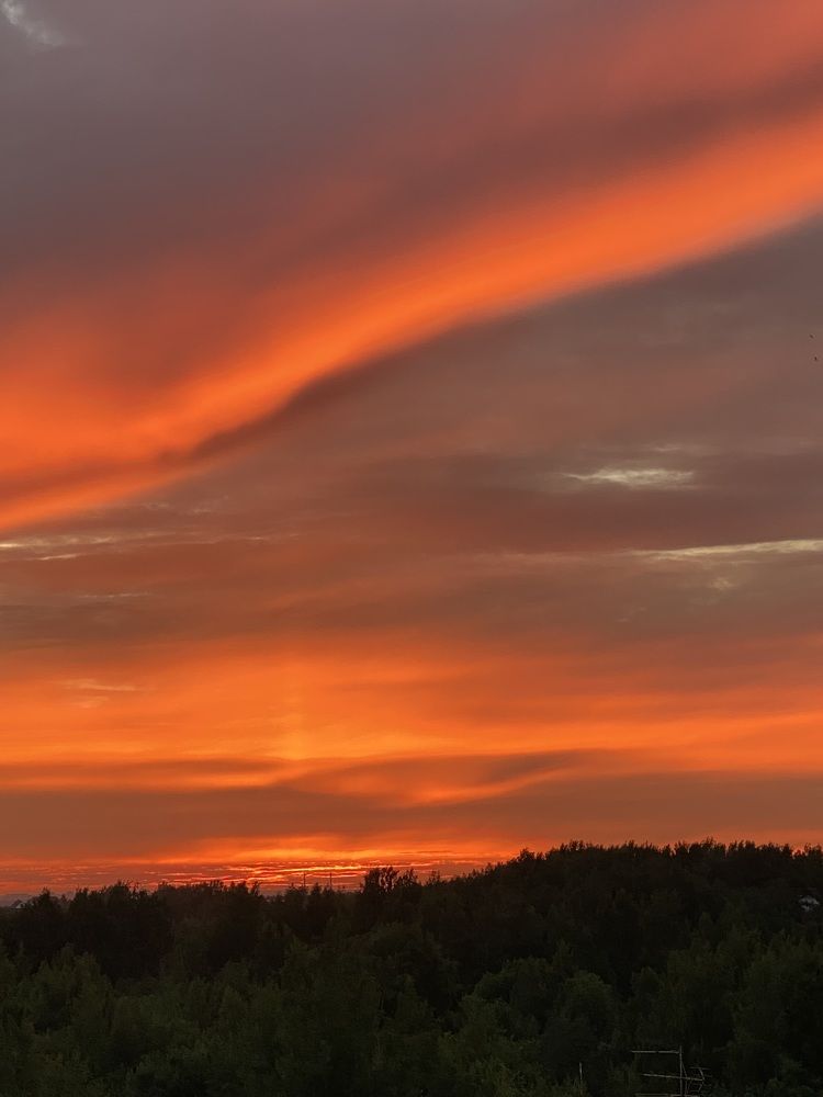 Photograph by Ирина Сорока