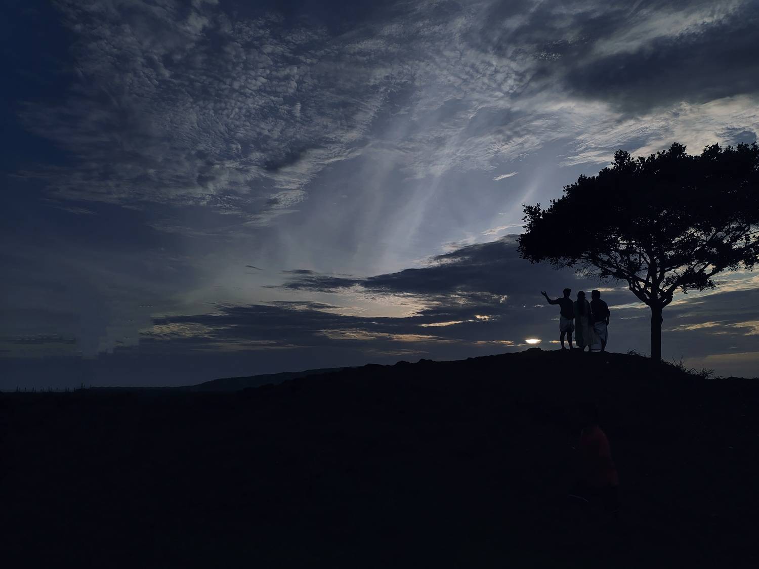 Photo #9424006