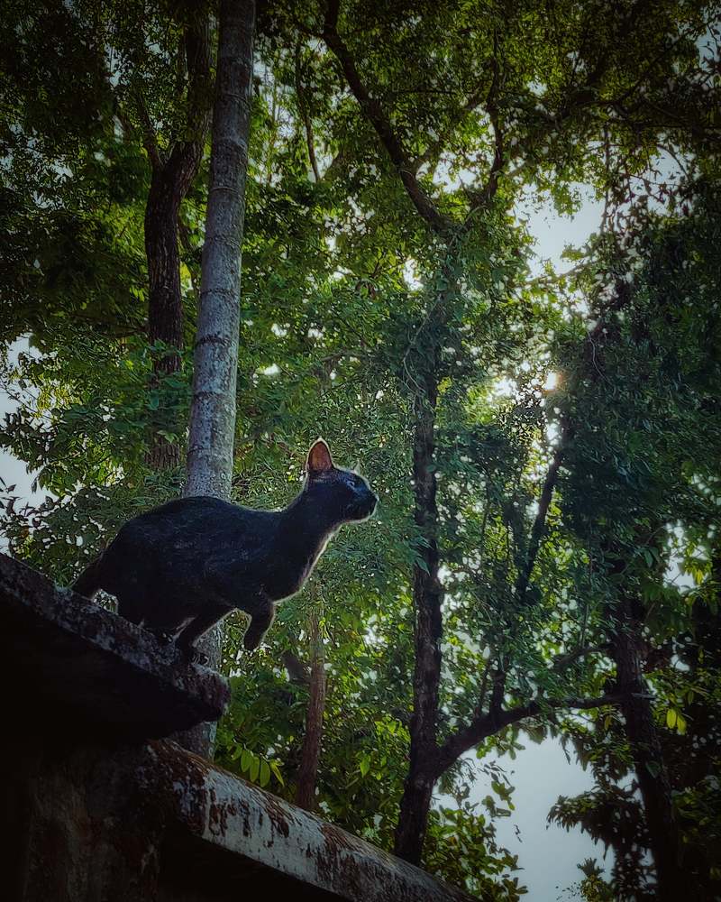 Photograph by Midori Jannat